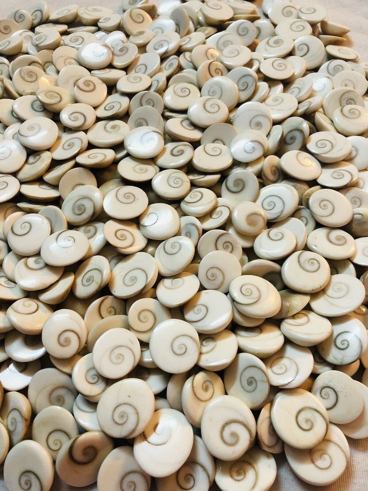 Gomati Chakra thumbnail 3
